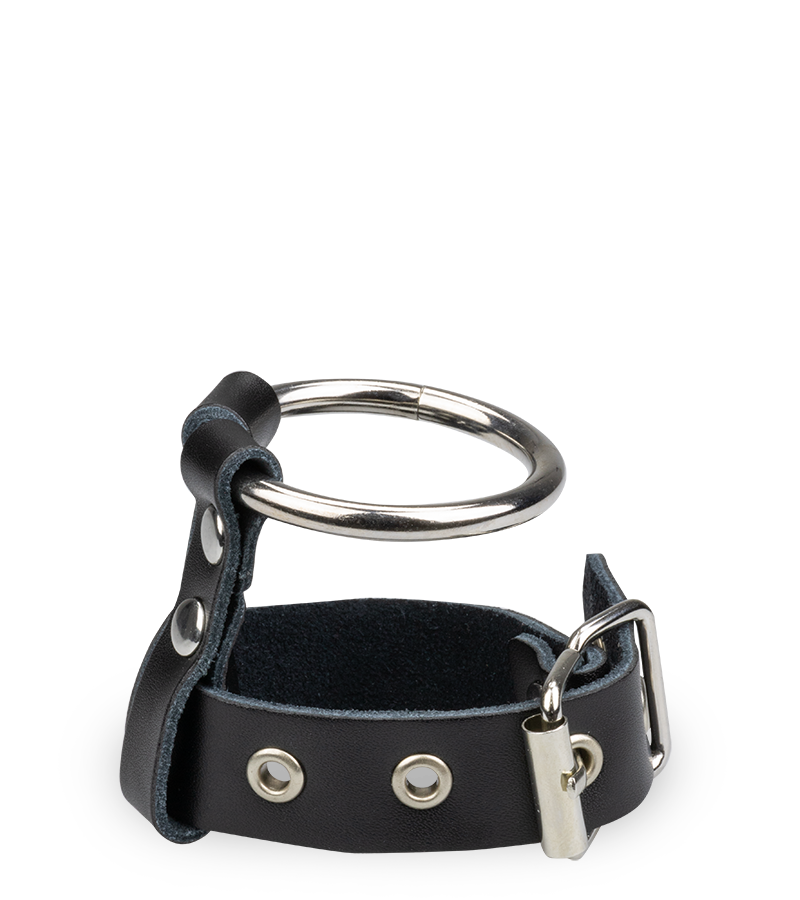 Abschließbarer Penisring aus Kunstleder und Metall