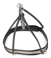 Laden Sie das Bild in den Galerie-Viewer, Anal-Keuschheitsgürtel Taken