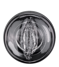 Laden Sie das Bild in den Galerie-Viewer, Automatischer Masturbator mit Rotation und Saugfuß