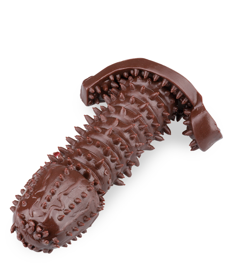 Dunkle genoppte Penishülle