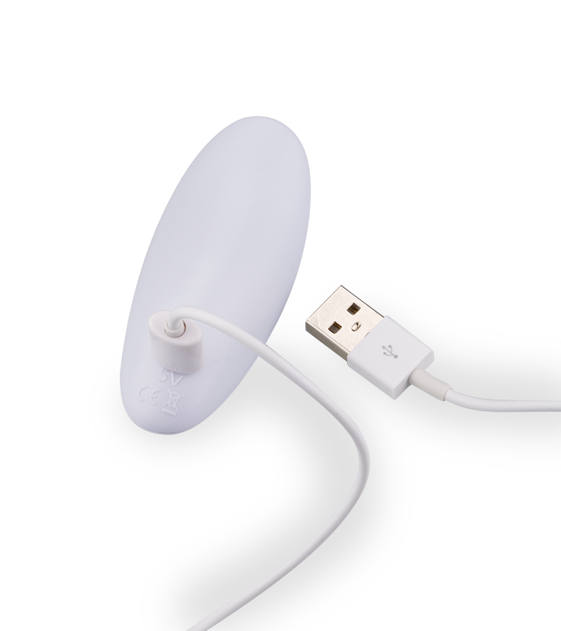 Ferngesteuerter Paarvibrator Danny