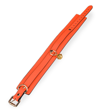 Laden Sie das Bild in den Galerie-Viewer, Fluoreszierendes Halsband mit Leine in Orange