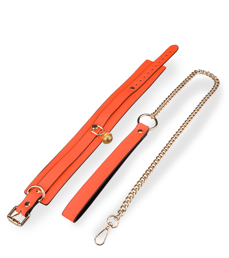 Fluoreszierendes Halsband mit Leine in Orange