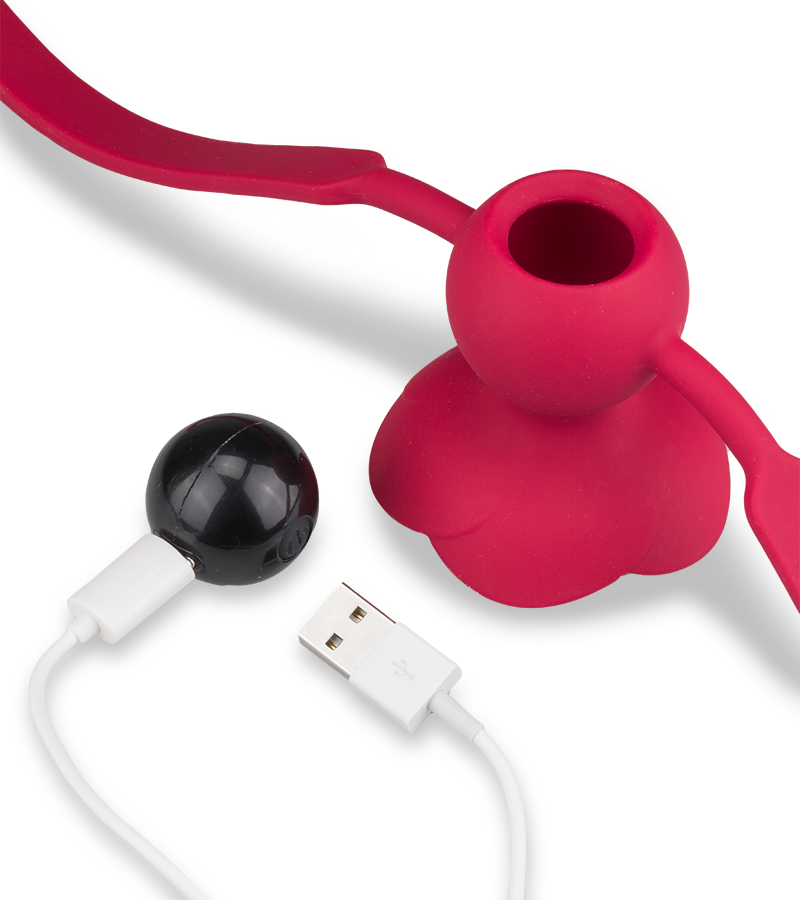 Gagball mit Vibration Rosie