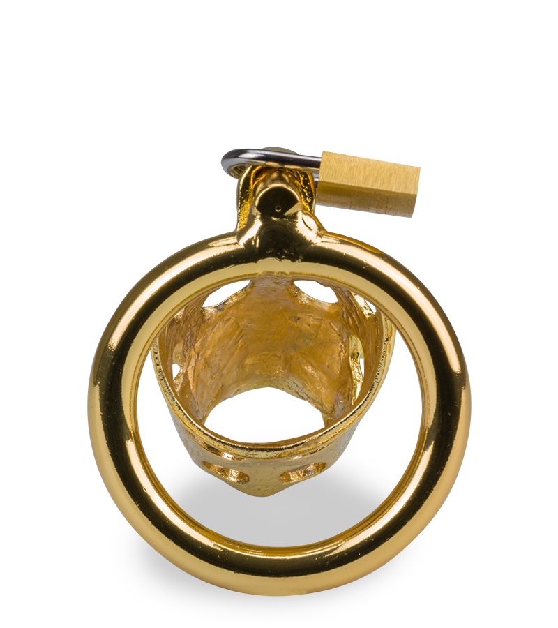 Goldfarbener Keuschheitsgürtel chinesische Astrologie Schwein