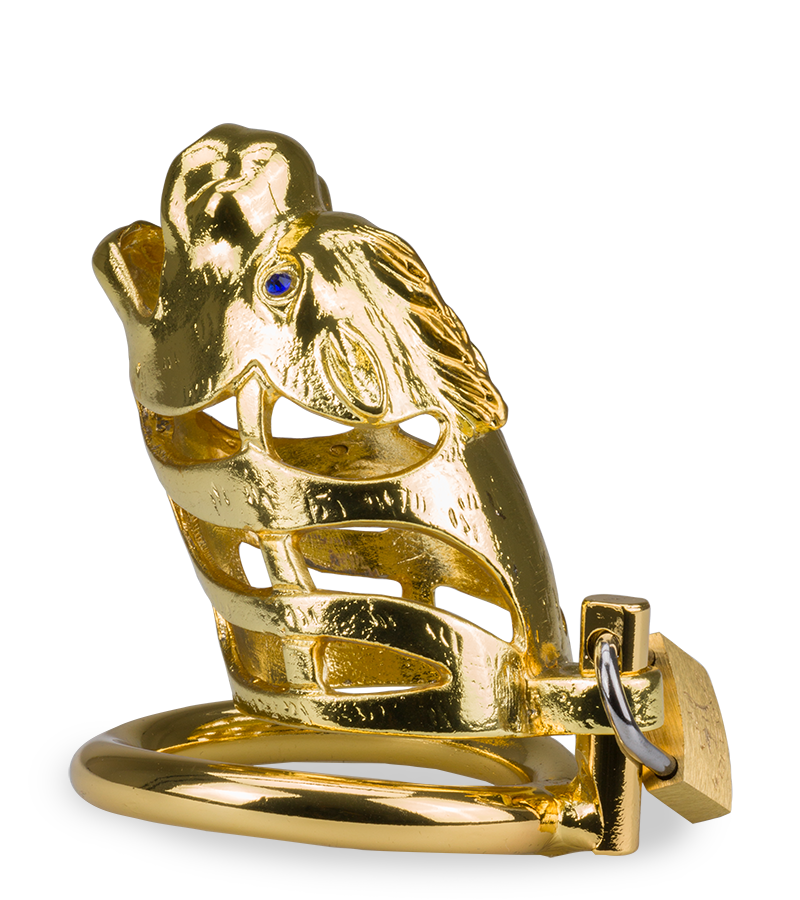 Goldfarbener Peniskäfig chinesisches Sternzeichen Drache