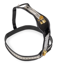 Laden Sie das Bild in den Galerie-Viewer, Keuschheitsgürtel für Frauen Stucked