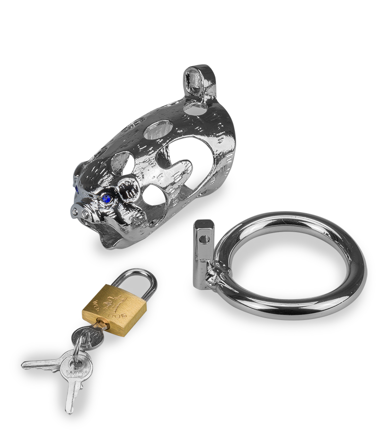 Keuschheitsgürtel mit chinesischem Sternzeichen Schwein