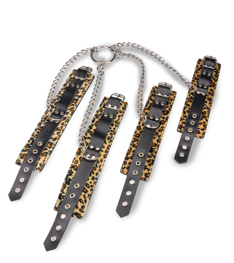 Kreuzfessel für Hand- &amp; Fußgelenke