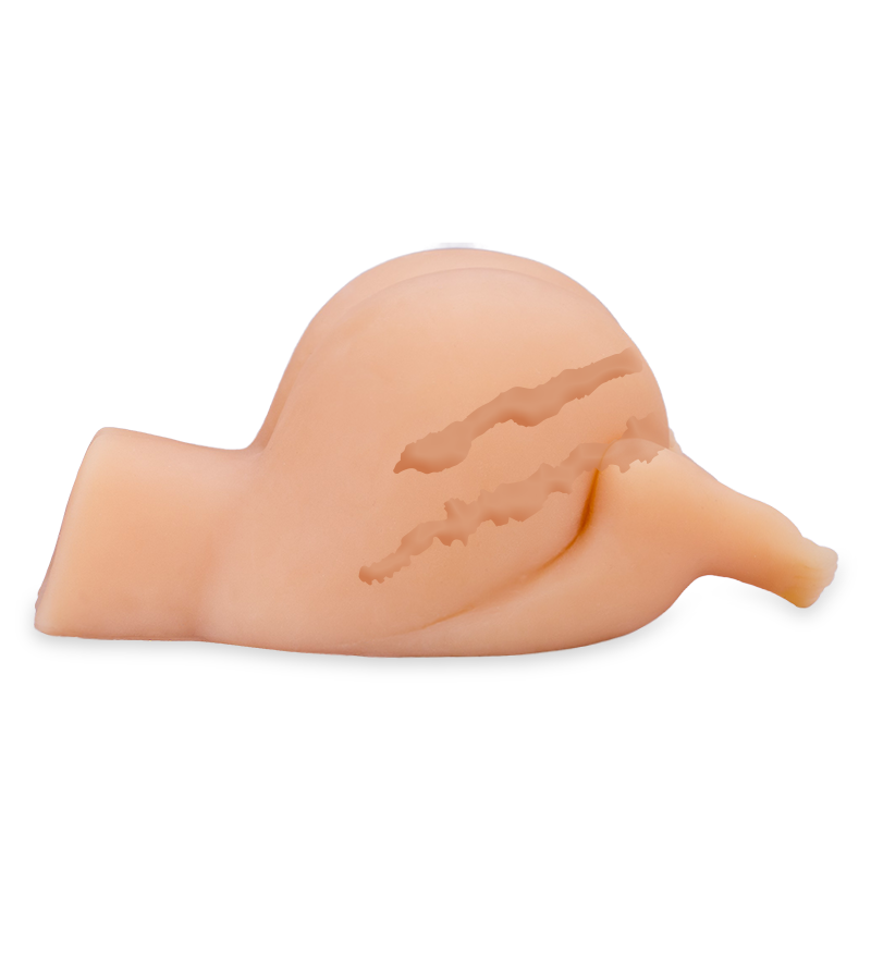 Kunstvagina und Anus für Doggy Style und Analsex