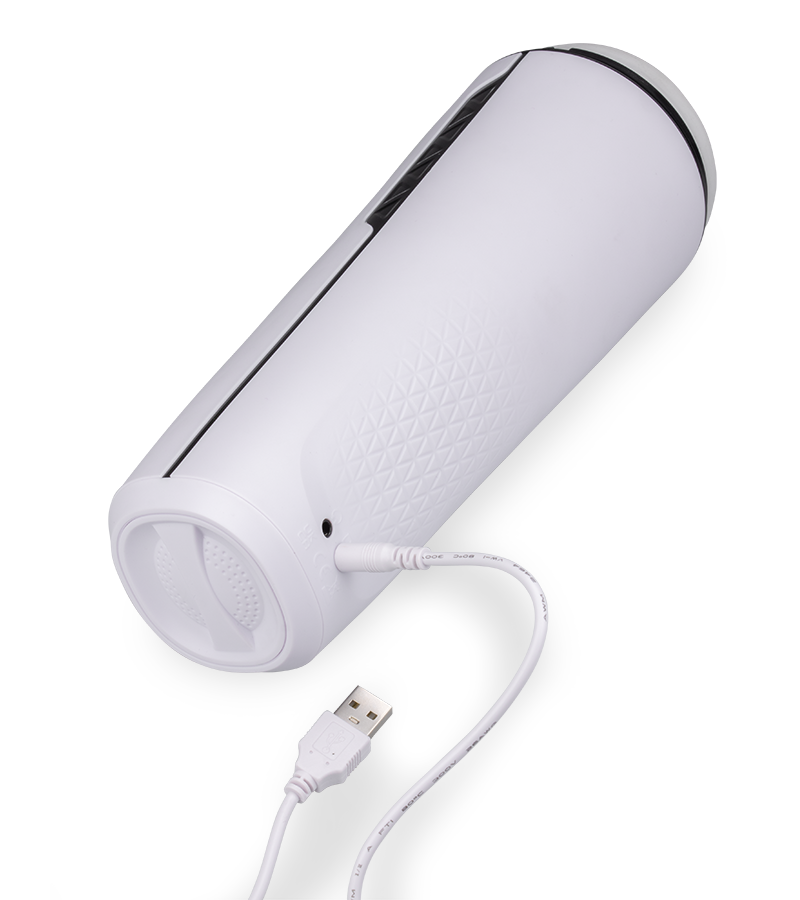 Masturbator mit Vibration und Saugfunktion Wilder