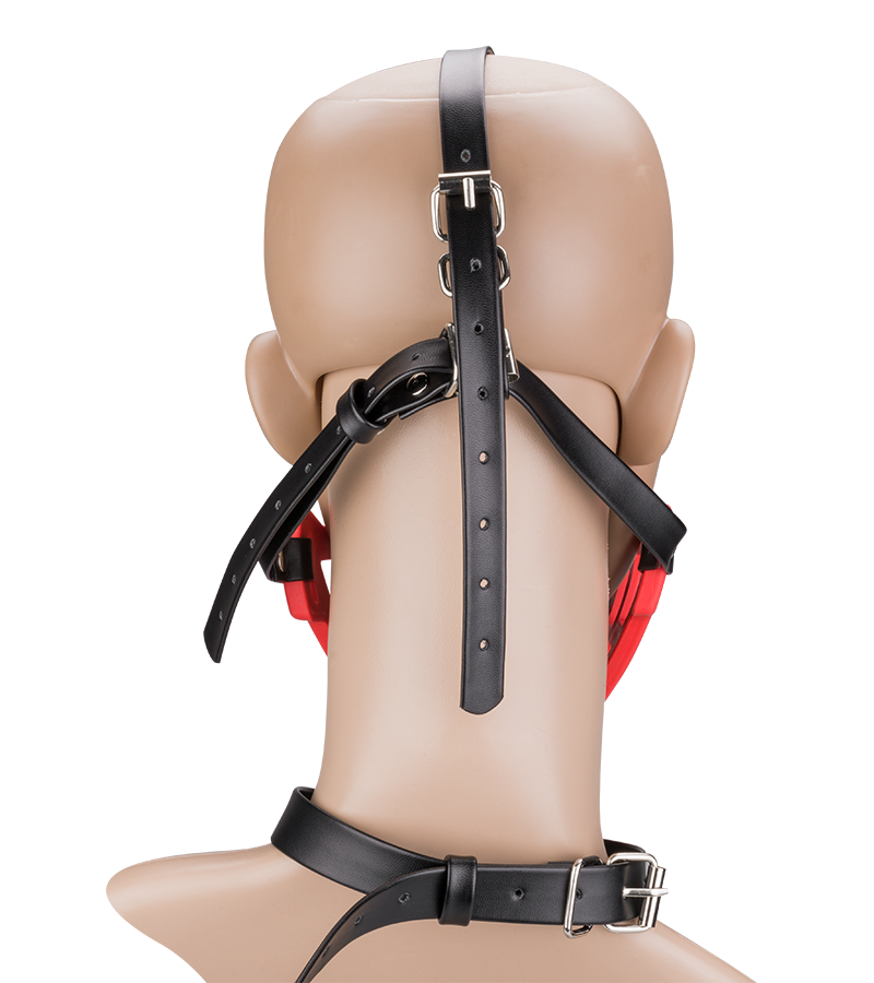 Maulkorb mit abnehmbarem Gagball