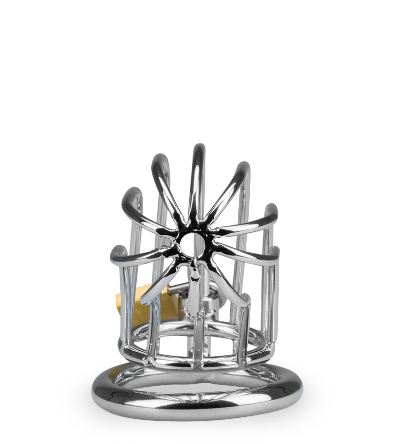 Penis-Keuschheitsgürtel Sentence