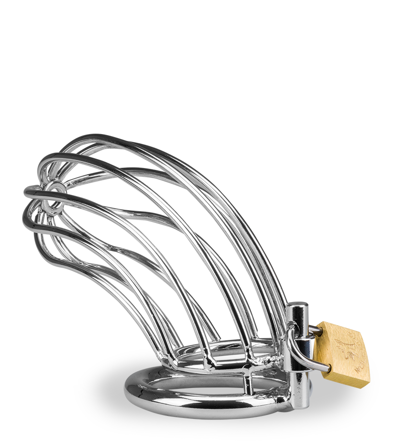 Penis-Keuschheitsgürtel Sentence