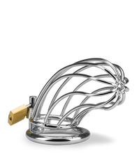 Laden Sie das Bild in den Galerie-Viewer, Penis-Keuschheitsgürtel Sentence