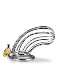 Laden Sie das Bild in den Galerie-Viewer, Penis-Keuschheitsgürtel Sentence