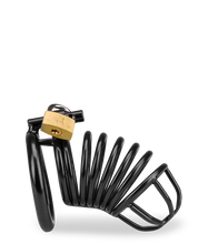 Laden Sie das Bild in den Galerie-Viewer, Peniskäfig Little Prisoner