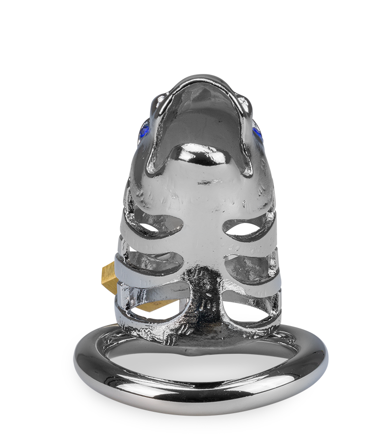 Peniskäfig mit chinesischem Drachen