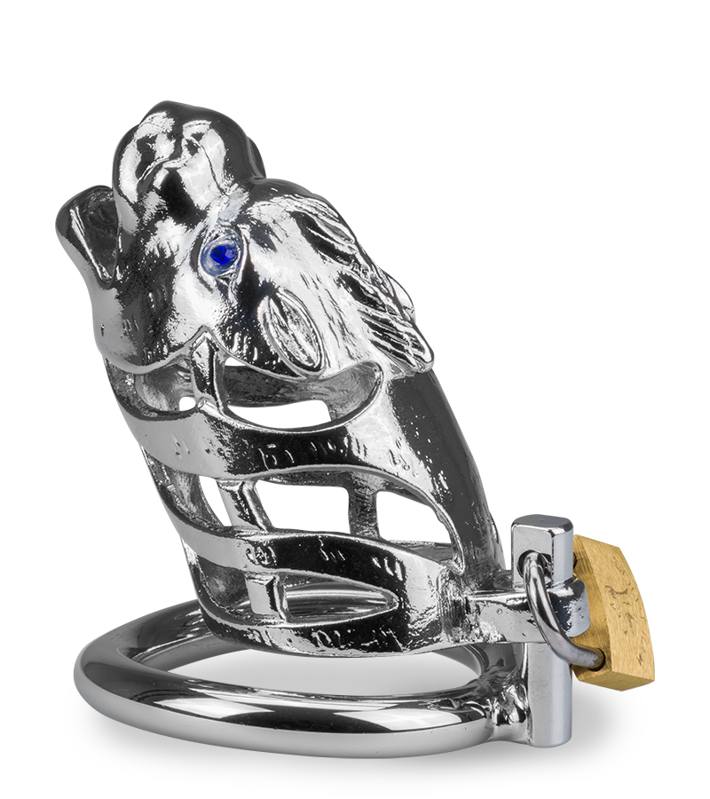 Peniskäfig mit chinesischem Drachen