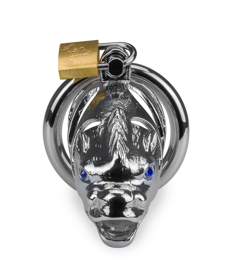 Peniskäfig mit chinesischem Drachen