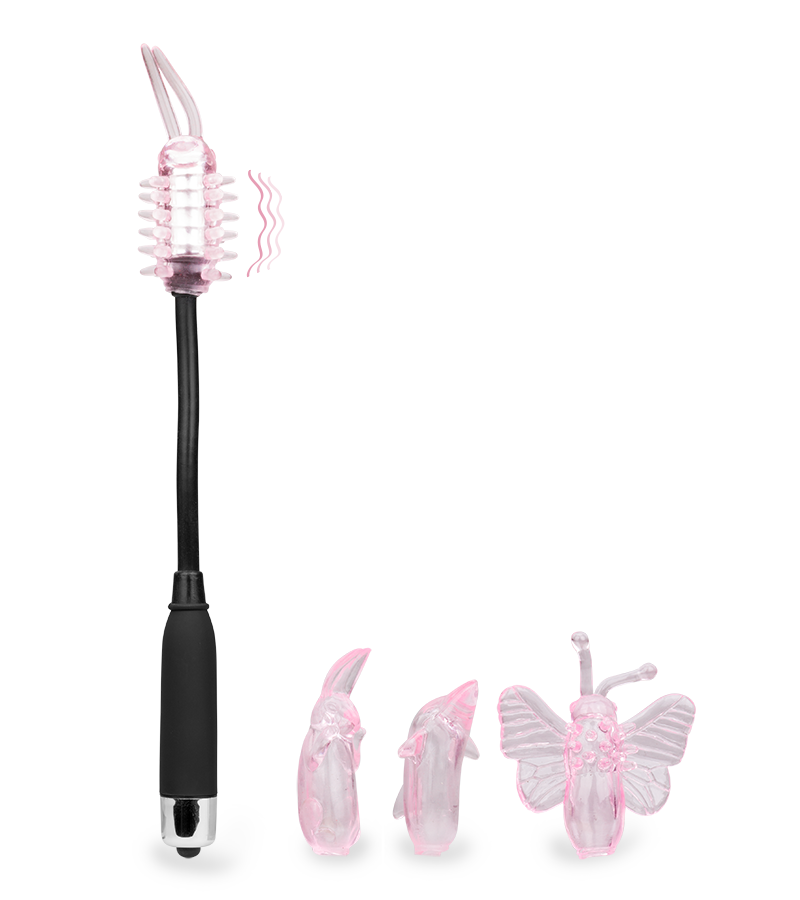 Vibrator mit 4 Aufsätzen